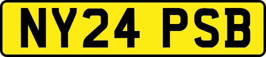 NY24PSB