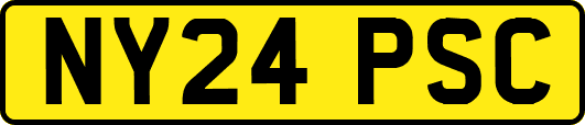 NY24PSC