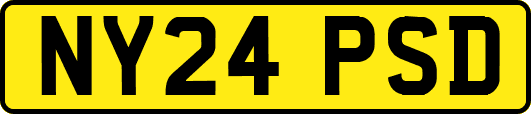 NY24PSD
