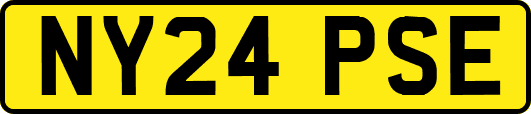 NY24PSE