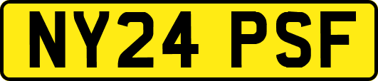 NY24PSF