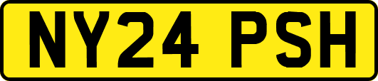 NY24PSH