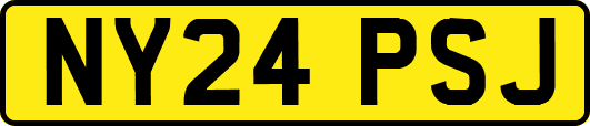 NY24PSJ