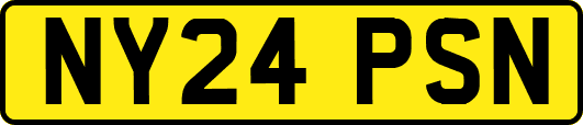 NY24PSN