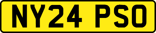 NY24PSO
