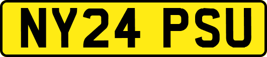 NY24PSU