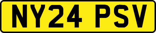 NY24PSV