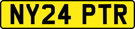 NY24PTR