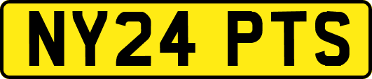 NY24PTS