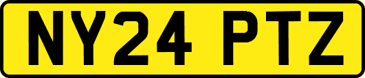 NY24PTZ