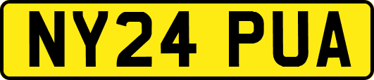NY24PUA