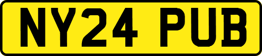 NY24PUB