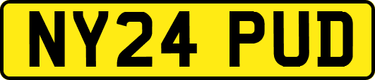 NY24PUD