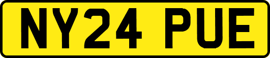 NY24PUE