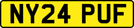 NY24PUF