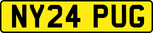 NY24PUG