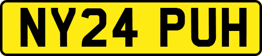 NY24PUH