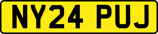 NY24PUJ