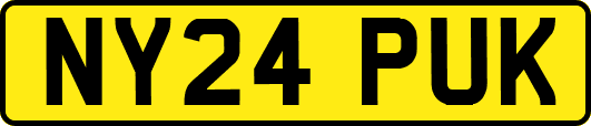 NY24PUK