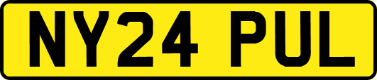 NY24PUL