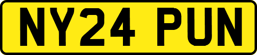 NY24PUN