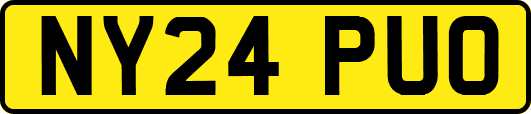 NY24PUO