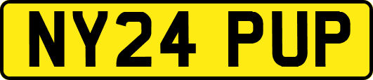 NY24PUP