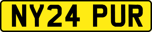 NY24PUR