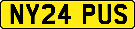 NY24PUS