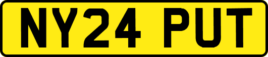 NY24PUT