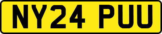 NY24PUU