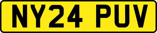 NY24PUV