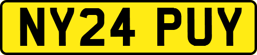NY24PUY