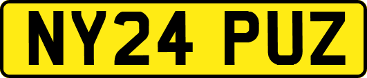 NY24PUZ