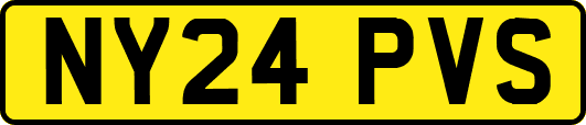 NY24PVS
