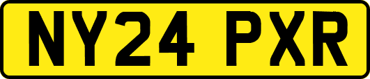 NY24PXR