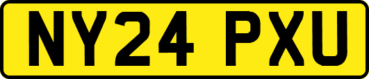 NY24PXU