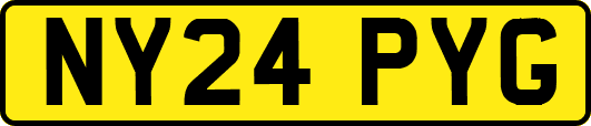NY24PYG