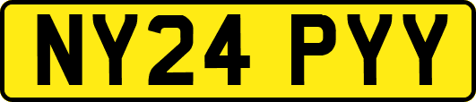 NY24PYY