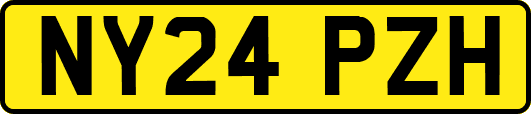 NY24PZH