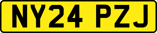 NY24PZJ