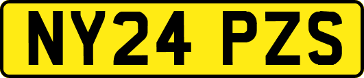 NY24PZS