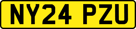 NY24PZU