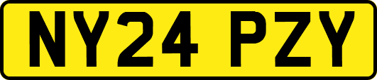 NY24PZY