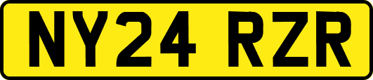 NY24RZR