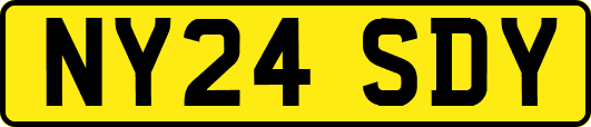 NY24SDY