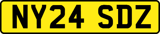 NY24SDZ