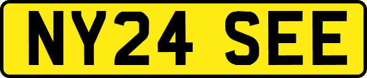 NY24SEE