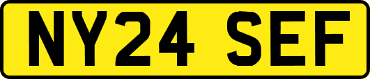 NY24SEF