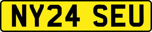 NY24SEU